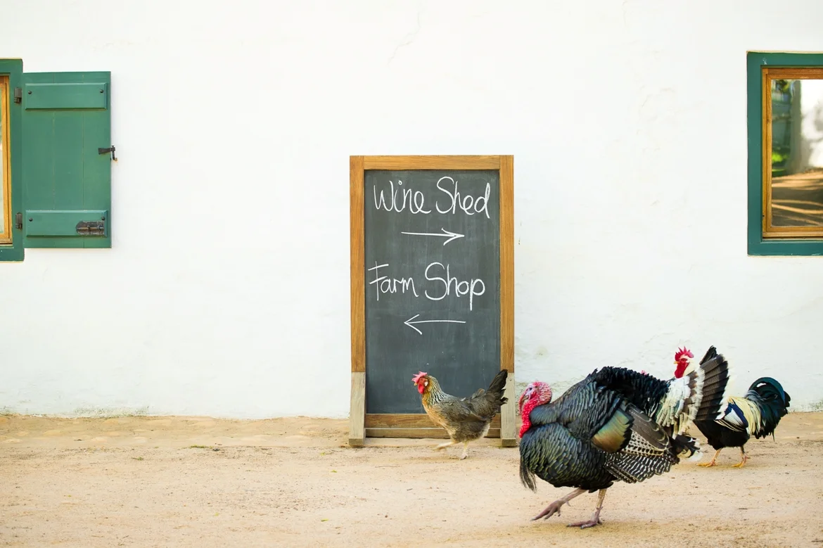 Bakery and farmshop