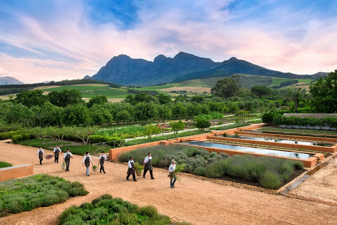 1.CHEFS-MARCHING-OUT-TO-GO-HARVEST-FOR-THE-KITCHEN-GARDEN-.jpg