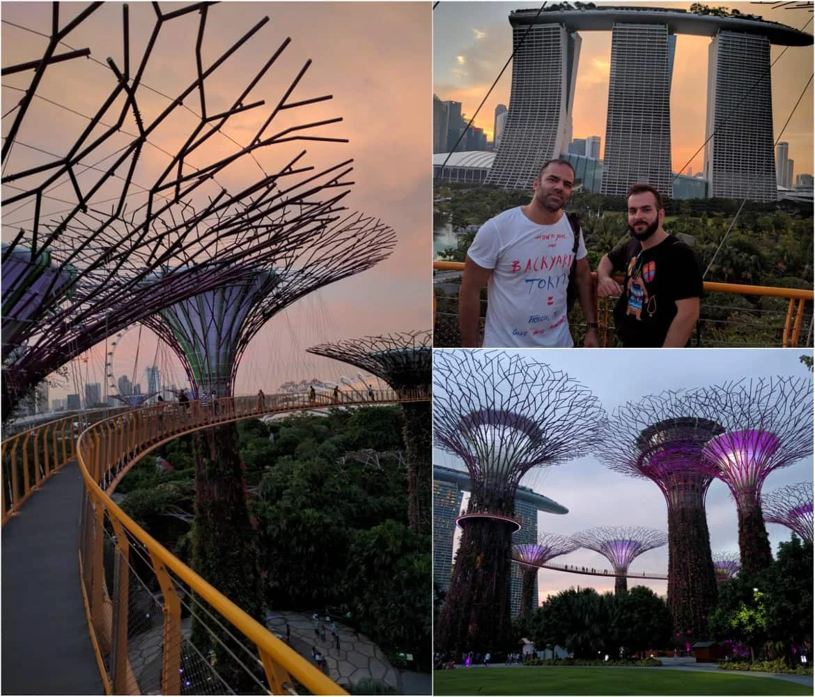 Enjoying the sunset at the Super Tree Grove