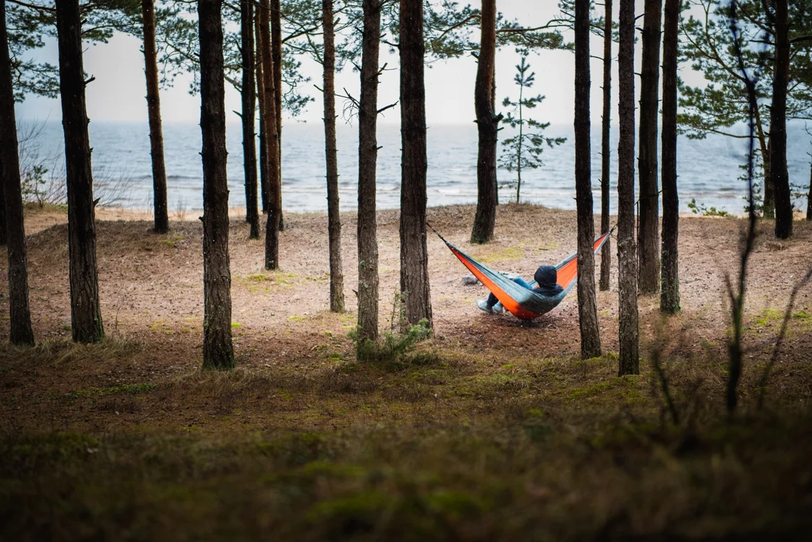 Relaxing in the woods, shot by Independent Wolf
