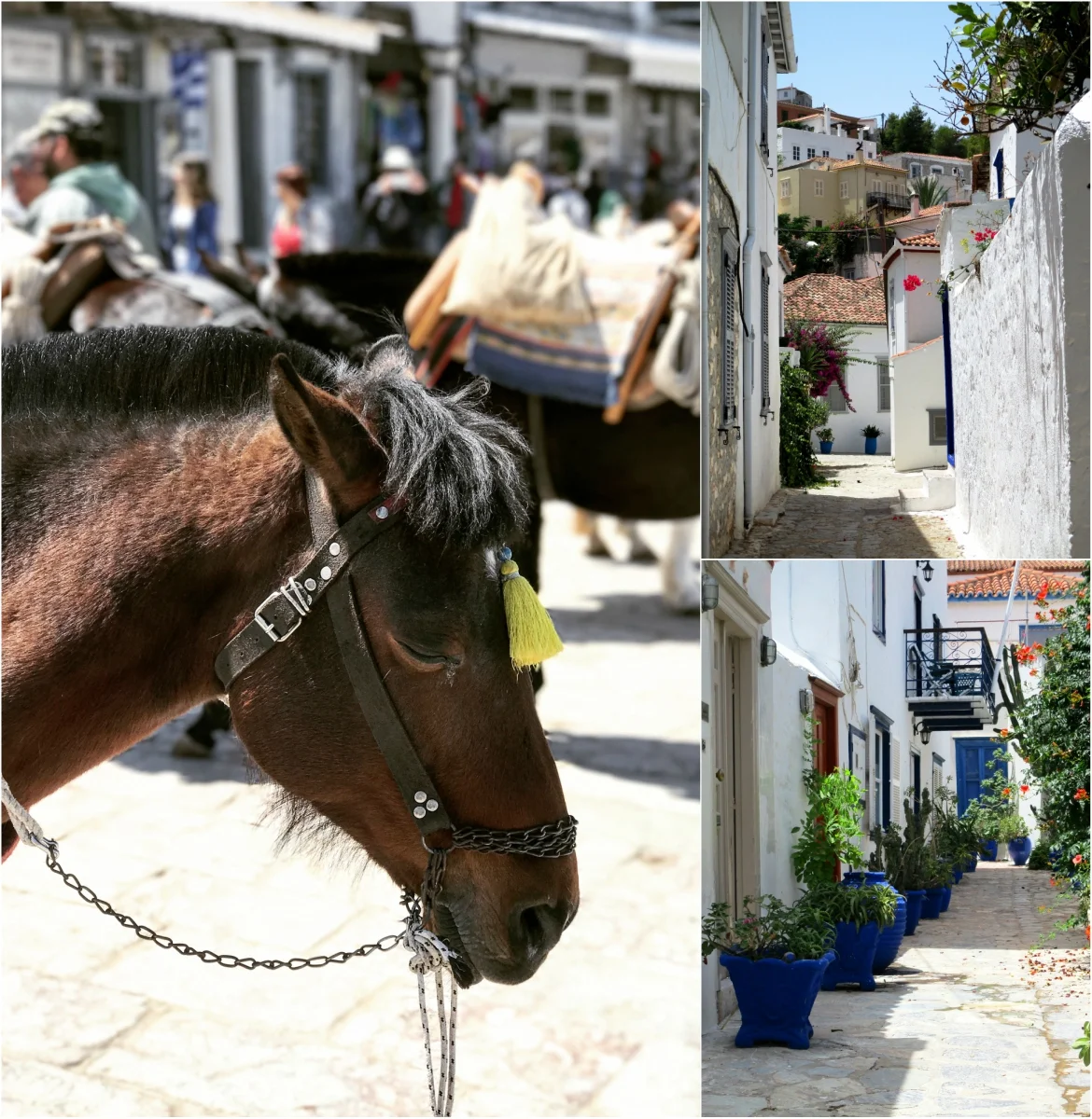 Hydra horses and alleys
