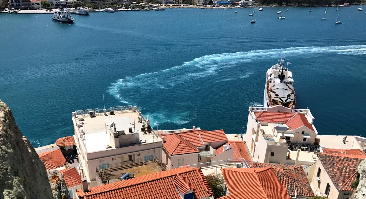 Hydra from above