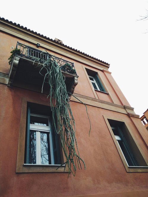 Picturesque building with an unusual hanging plant 