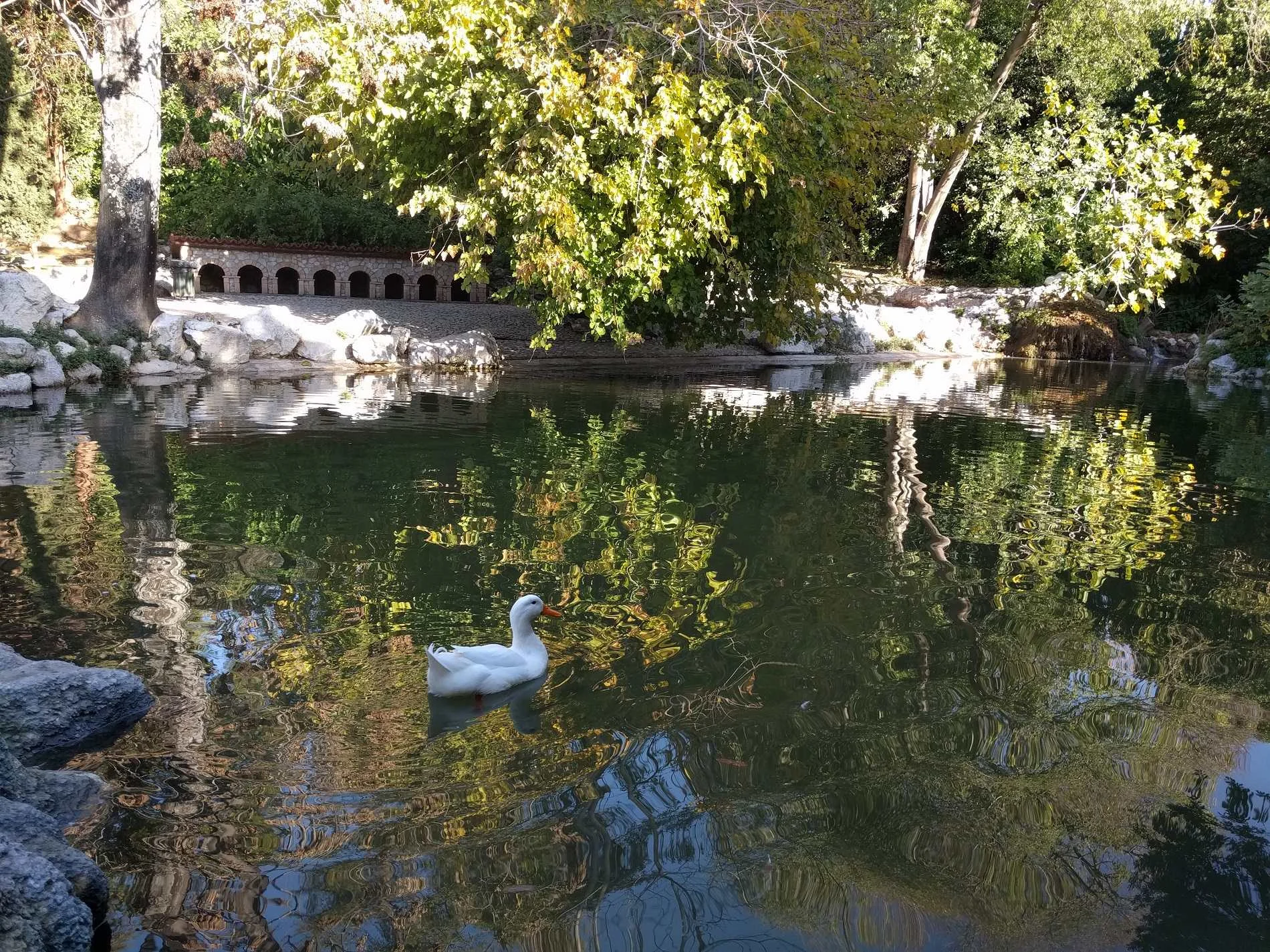 Admiring flora and fauna in a small oasis inside Athens city center. Source: Truevoyagers