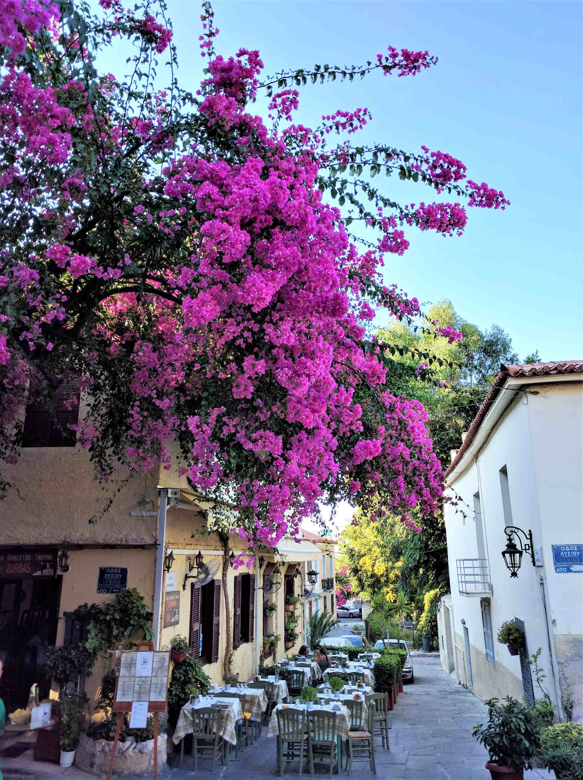How to Spend a Day in Plaka Neighborhood, Athens — Truevoyagers