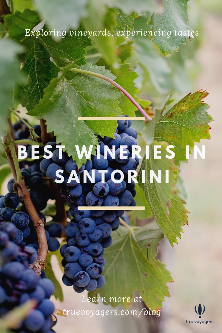 Best Wineries in Santorini by Truevoyagers