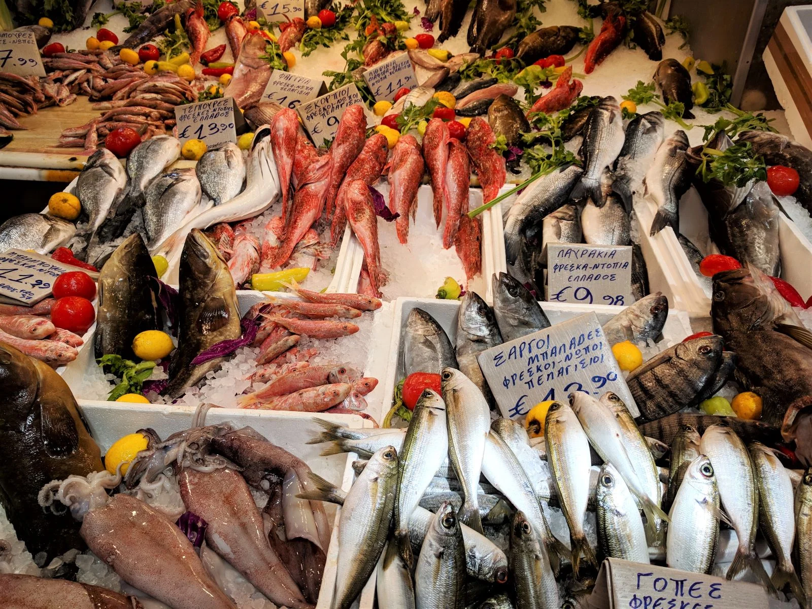 Fresh fish from the Aegean and Ionian sea are available for purchase inside the Varvakeios market in Athens.