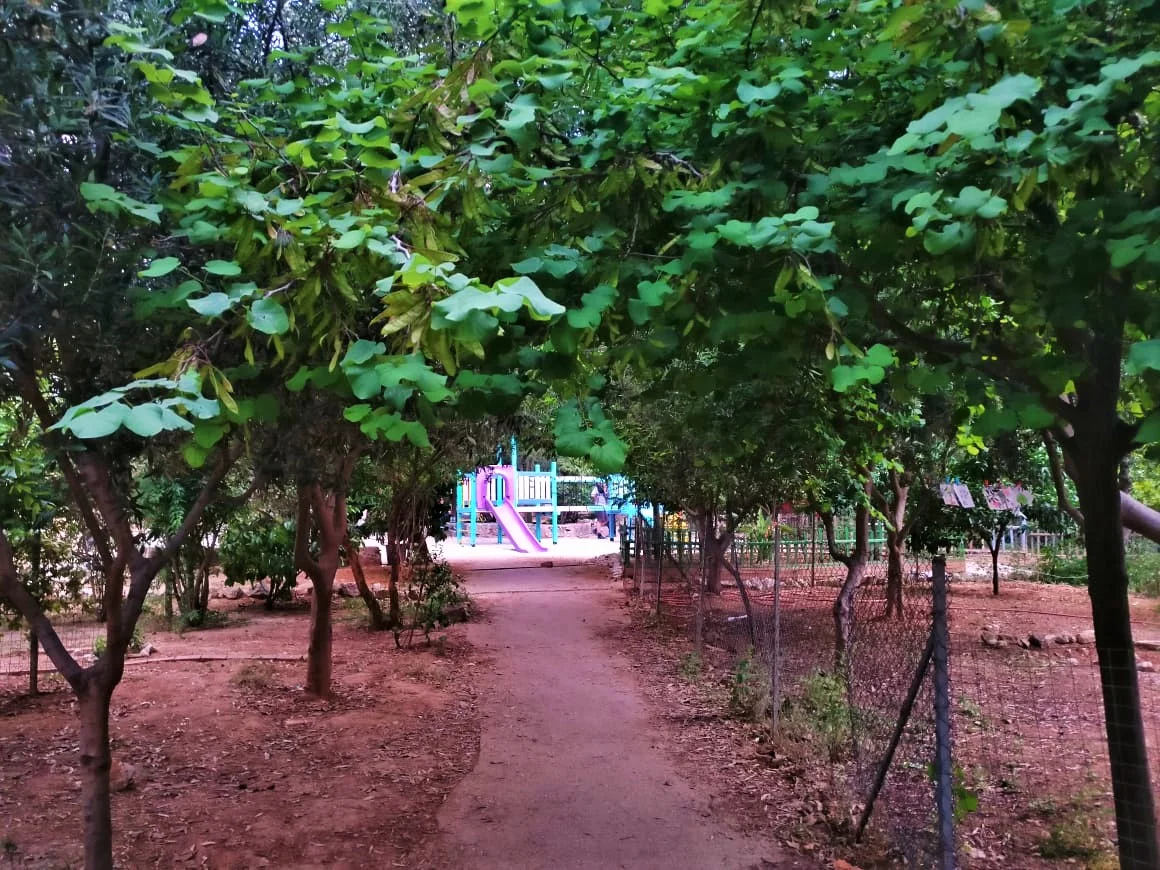 Walk around the green spots of the park and watch the locals’ kids playing at the playground, a new addition to the park. Photo source: Truevoyagers
