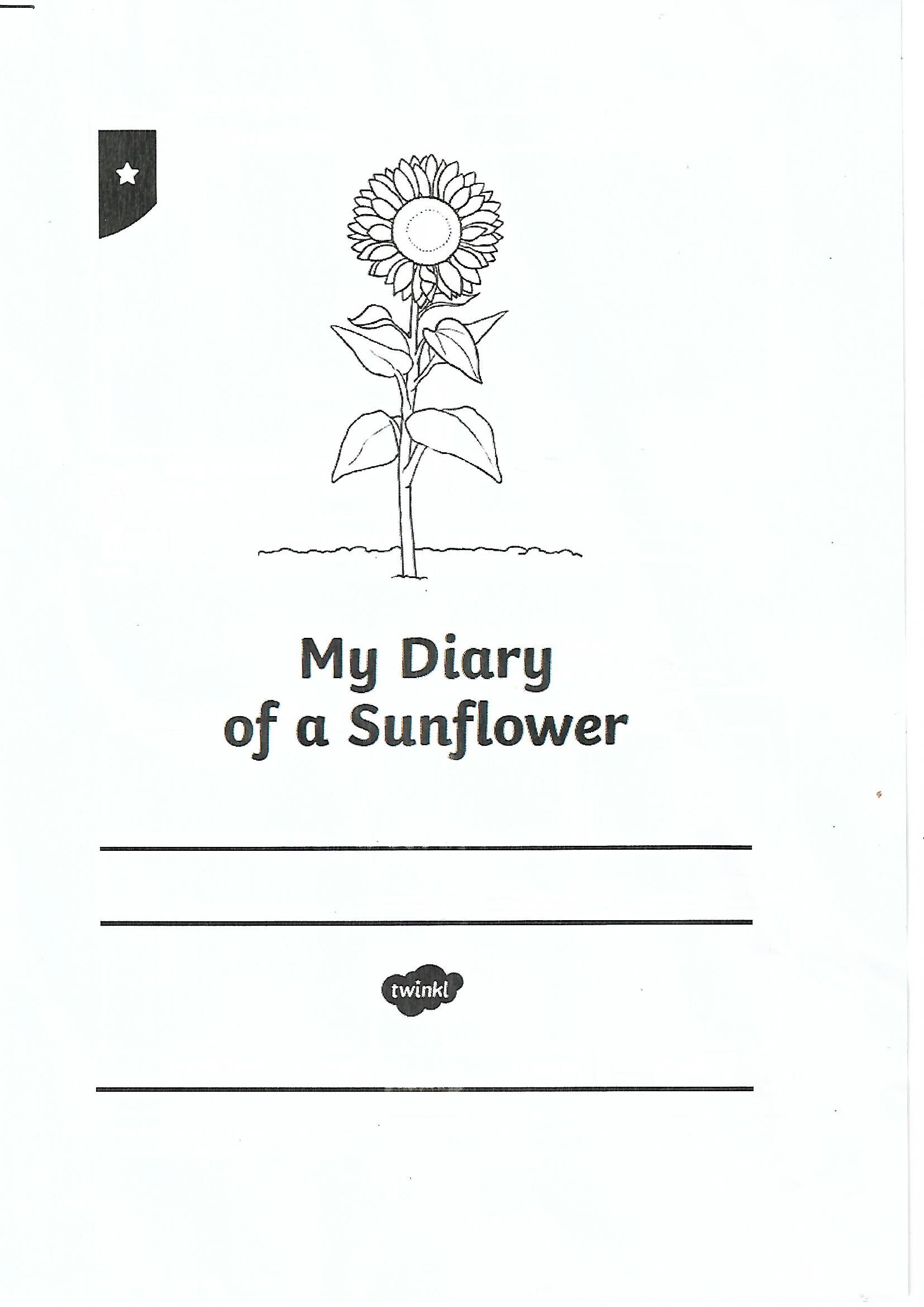 Sunflower Sheet1.jpg