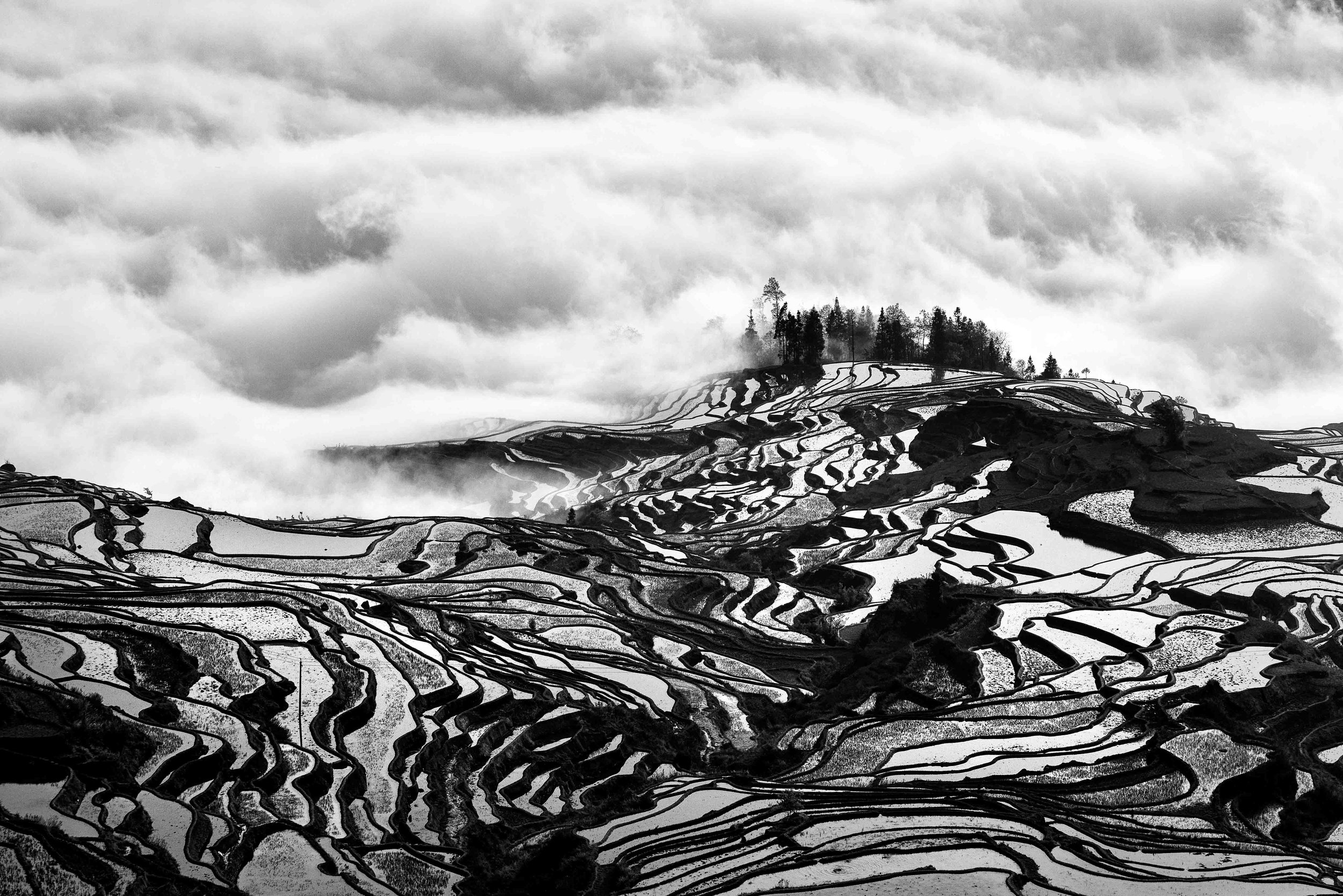 Duoyishu Monochrome #3