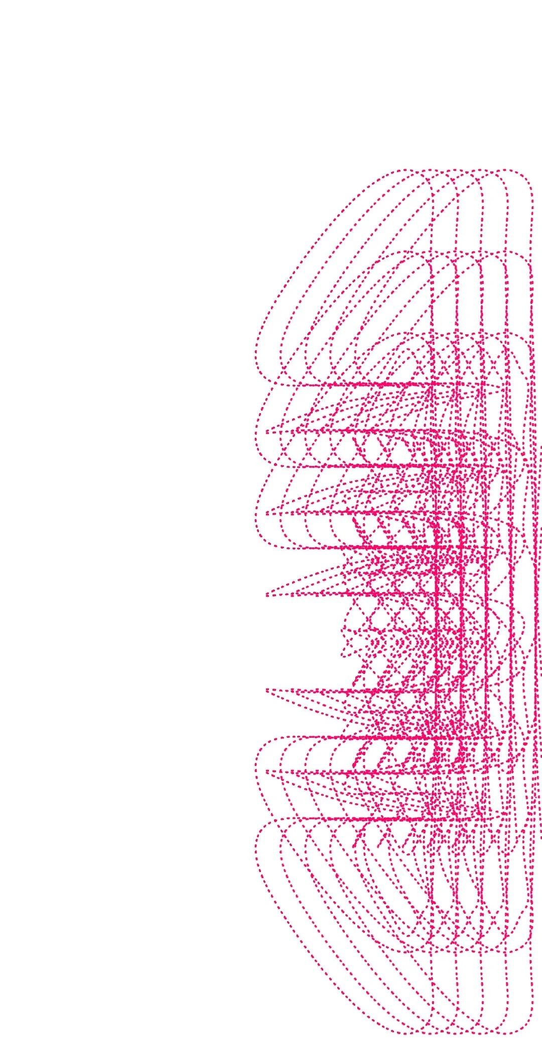 Project (20250219090102).jpg