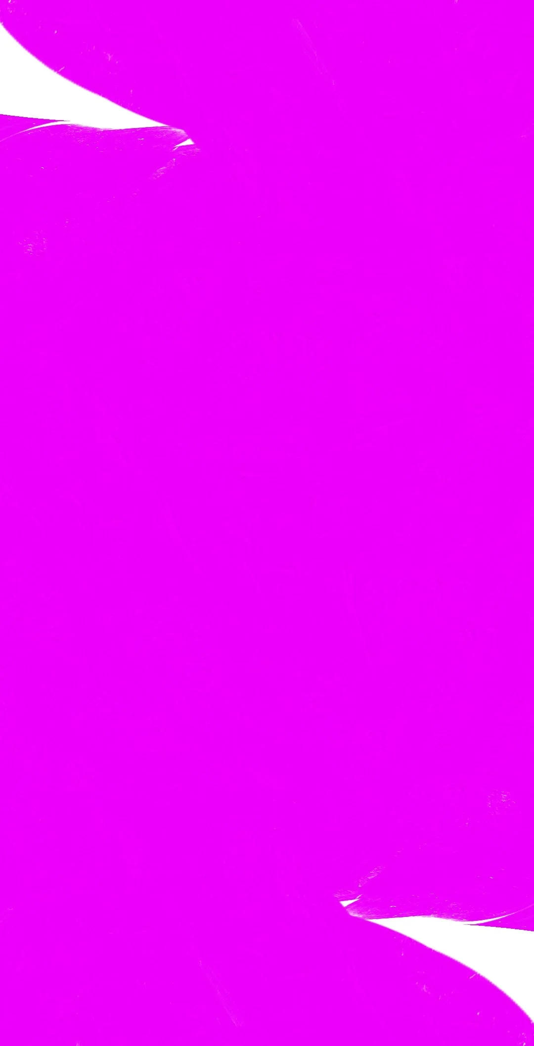 Project (20250219090040).jpg