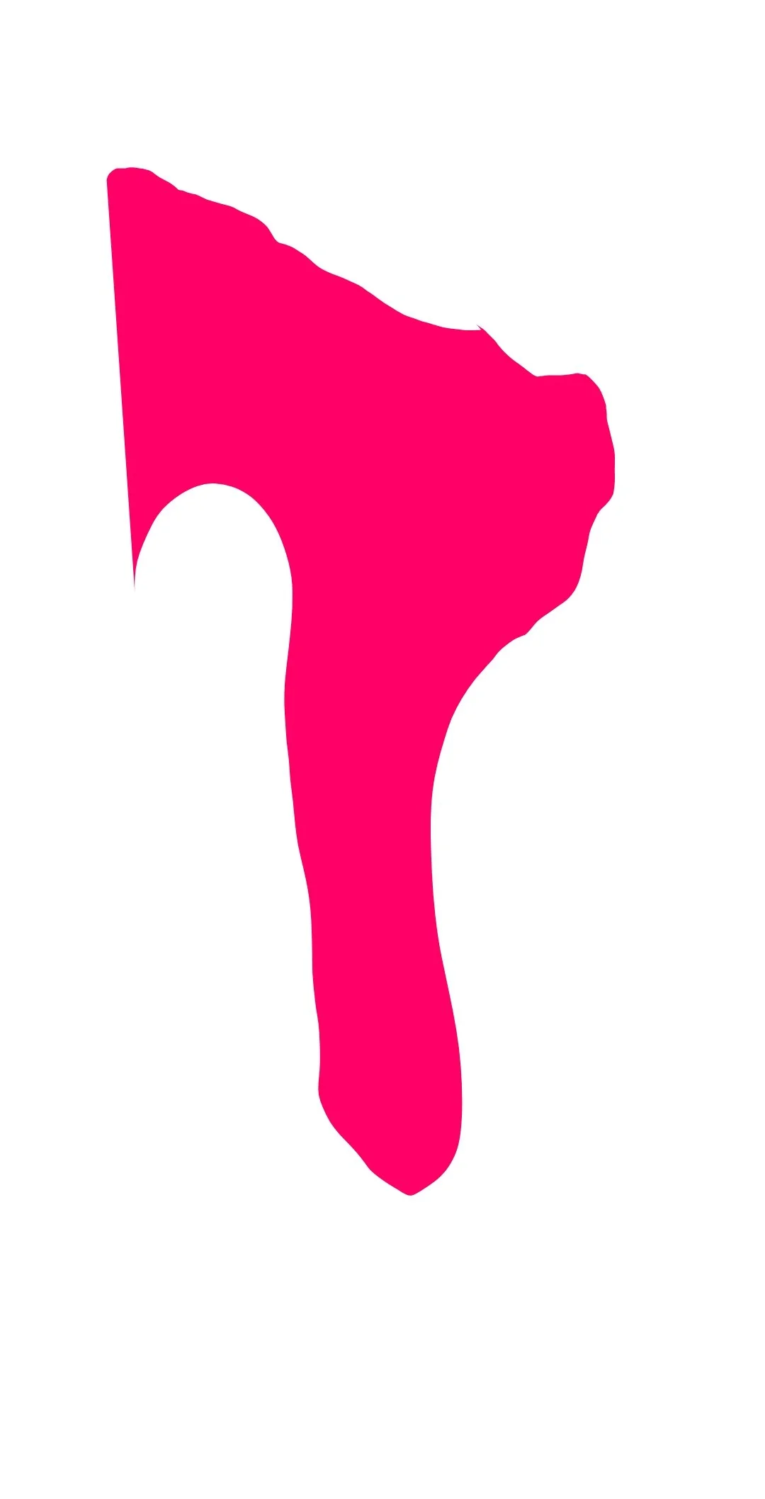 Project (20250219090738).jpg