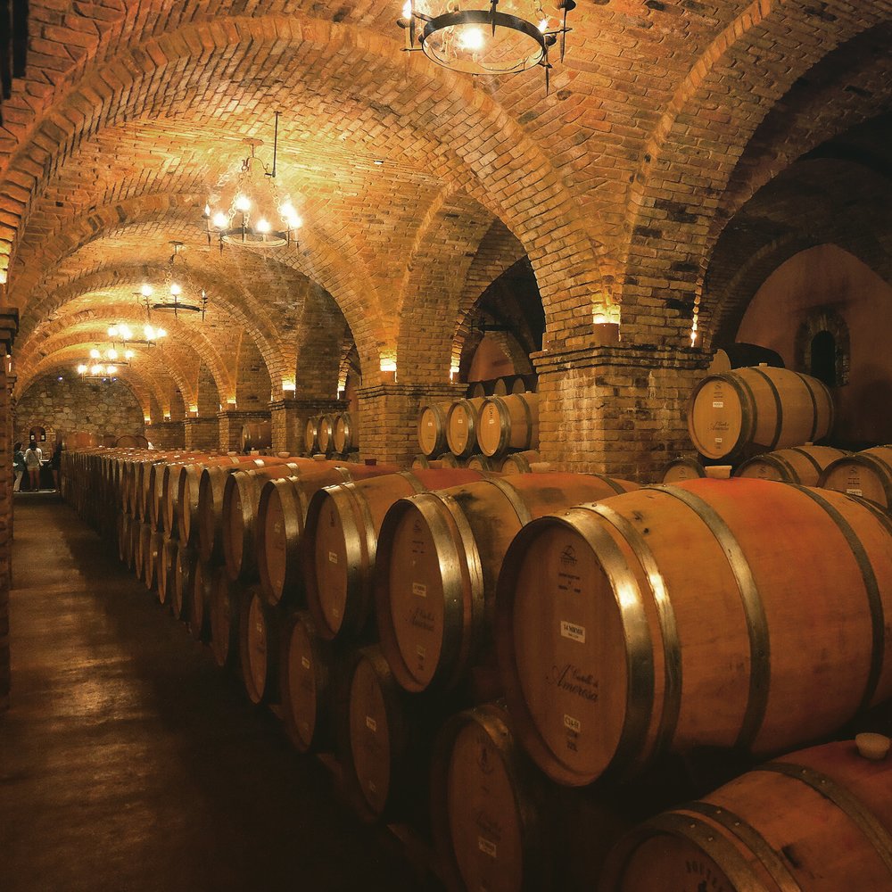 Aging wine: which ones and why. — Verve Imports
