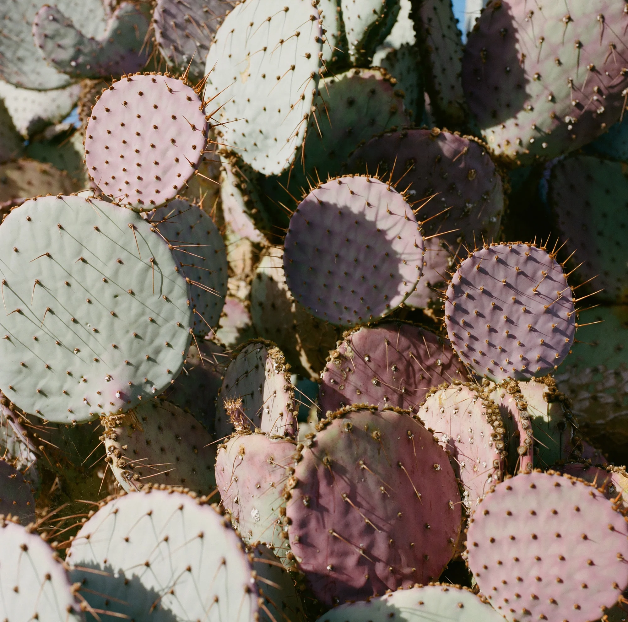 181018000000140002.jpg