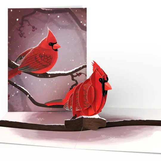 LP5848_Winter_Bird_Pack_Cardinal_Cover_Overview_2_2ade0ecb-1496-4ae6-b7f8-30dca1c8e0ec.webp