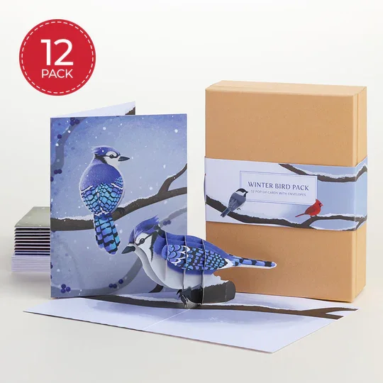 PA5770_Winter_Bird_Pack_12_Pop-Up_Cards_with_Envelopes_CoverOverview_coloredbg_1_e8645afc-b98c-4302-8f64-ab3a740a88f4.webp