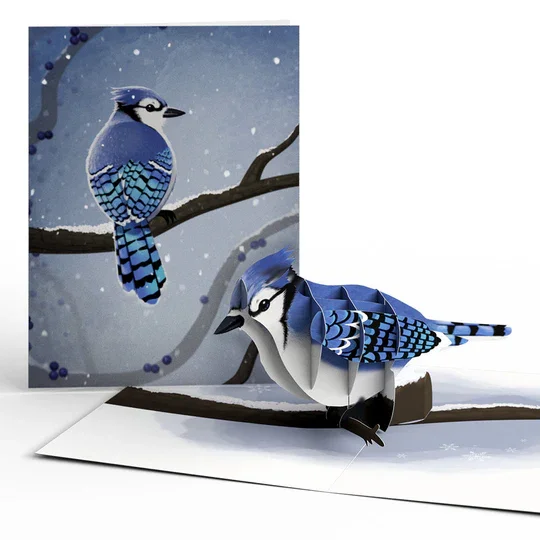 LP5847_Winter_Bird_Pack_Blue_Jay_CoverOverview_1_97de67e7-cc50-4db6-a07b-6a68e0d77dcb.webp