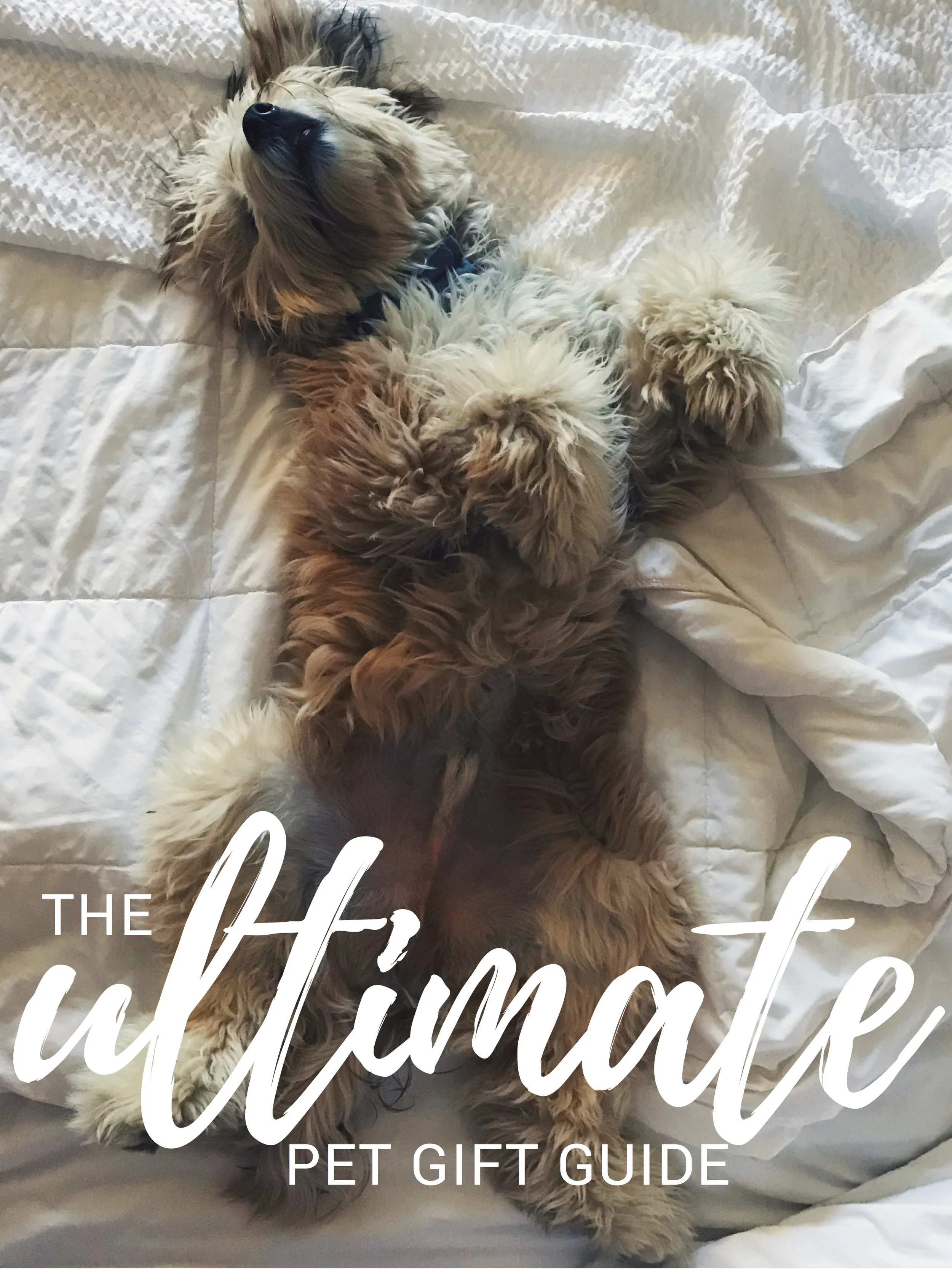 Ultimate Pet Gift Guide.jpg