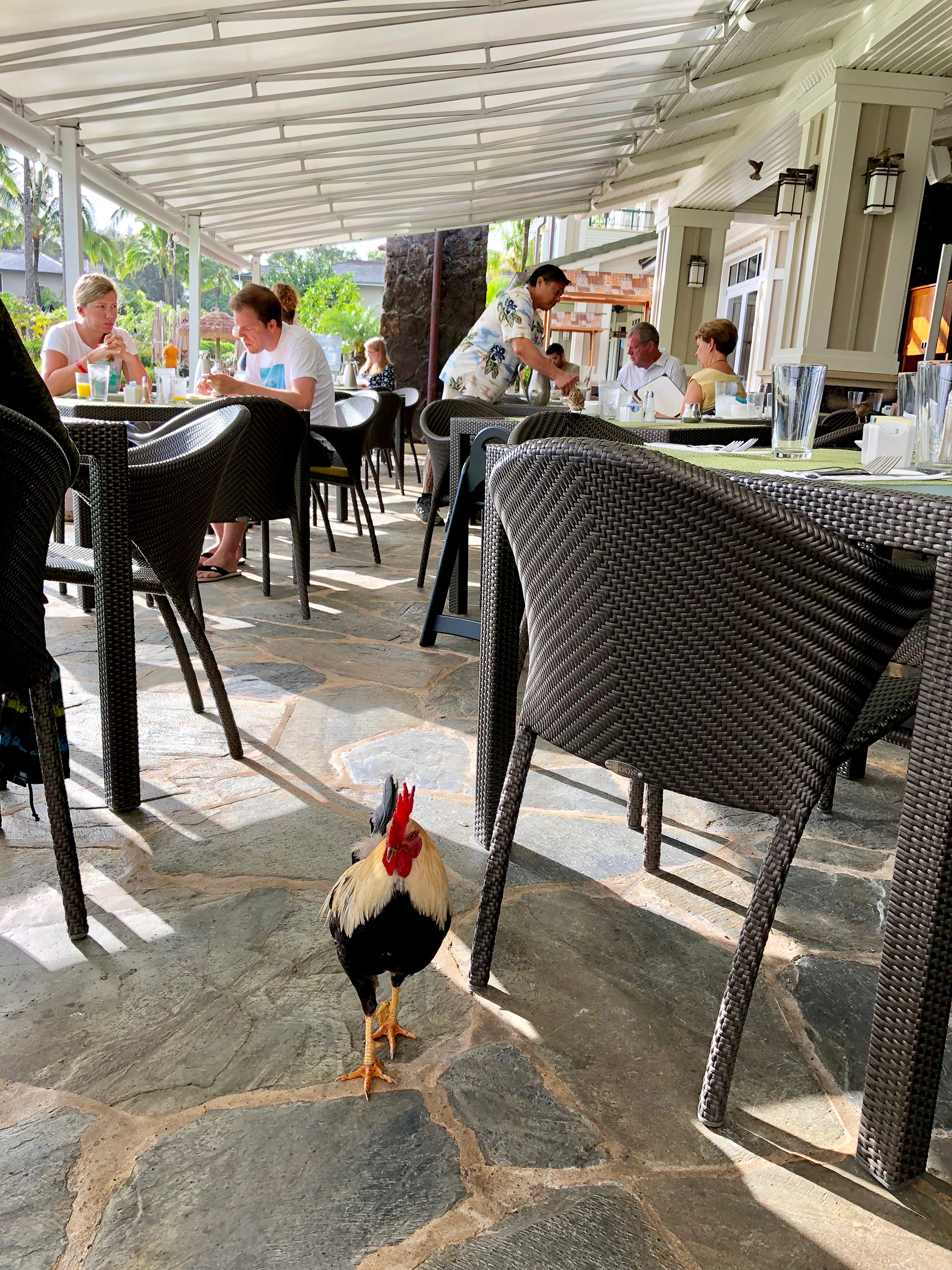 Breakfast_1811.jpg
