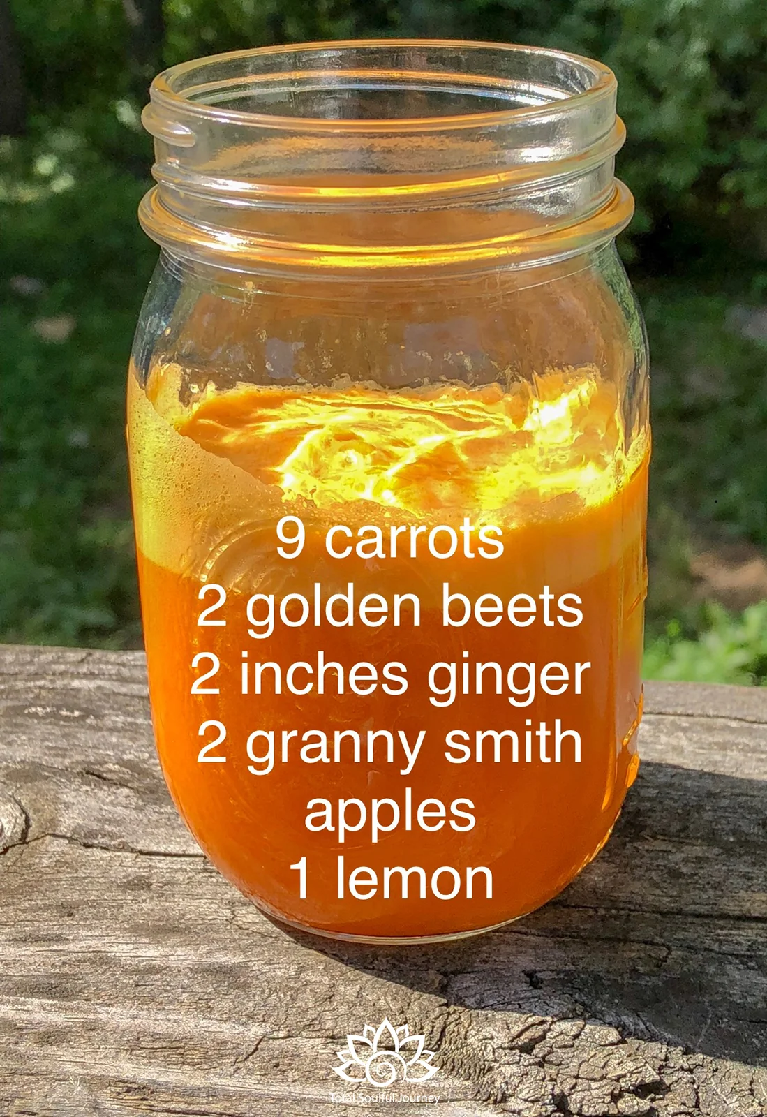 Checkout my blog post on Juicing for more recipes . Photography by Libby Mcavoy