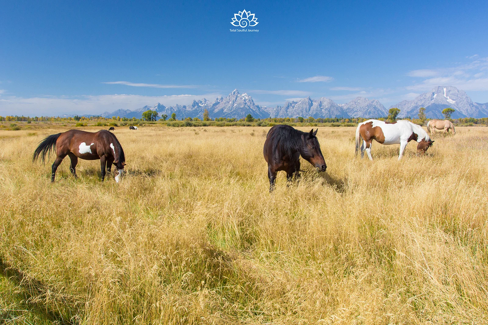 Grand Teton Nation Park - Photography by Paul Garrett