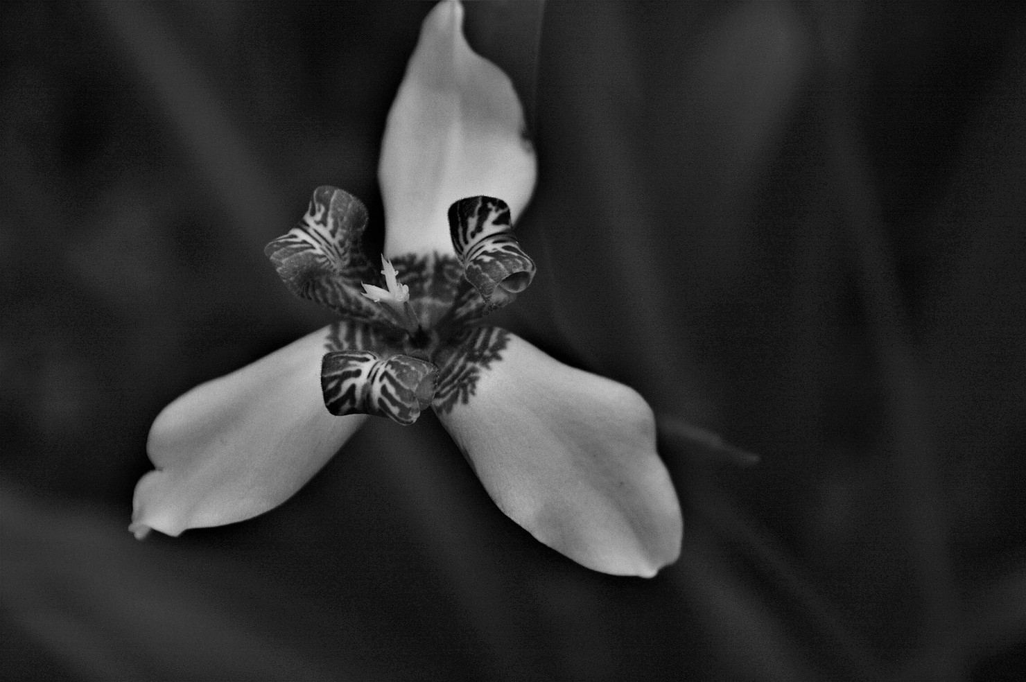Photography by Elisa Moga