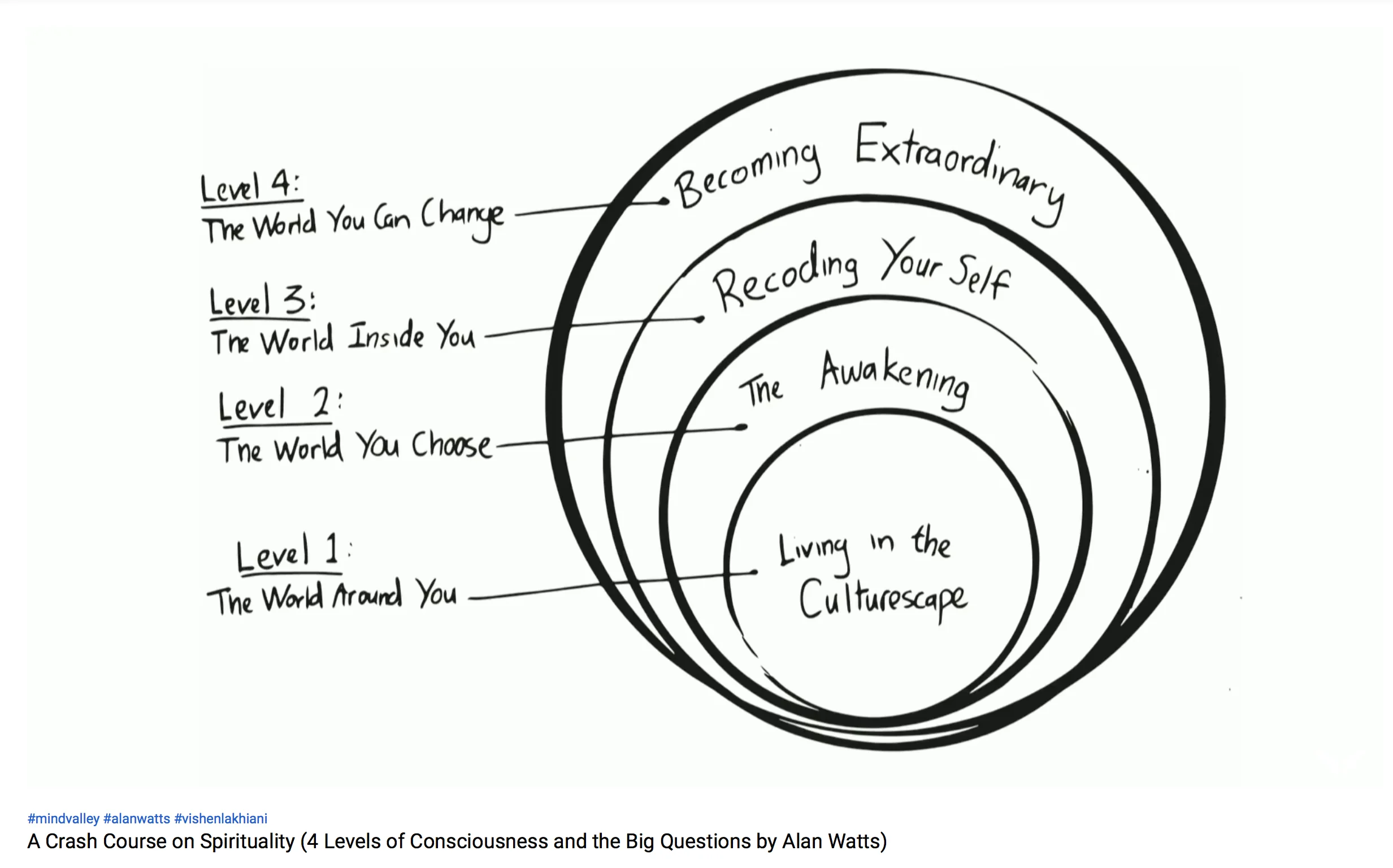 This graphic is from the above video by Mind Valley Talks
