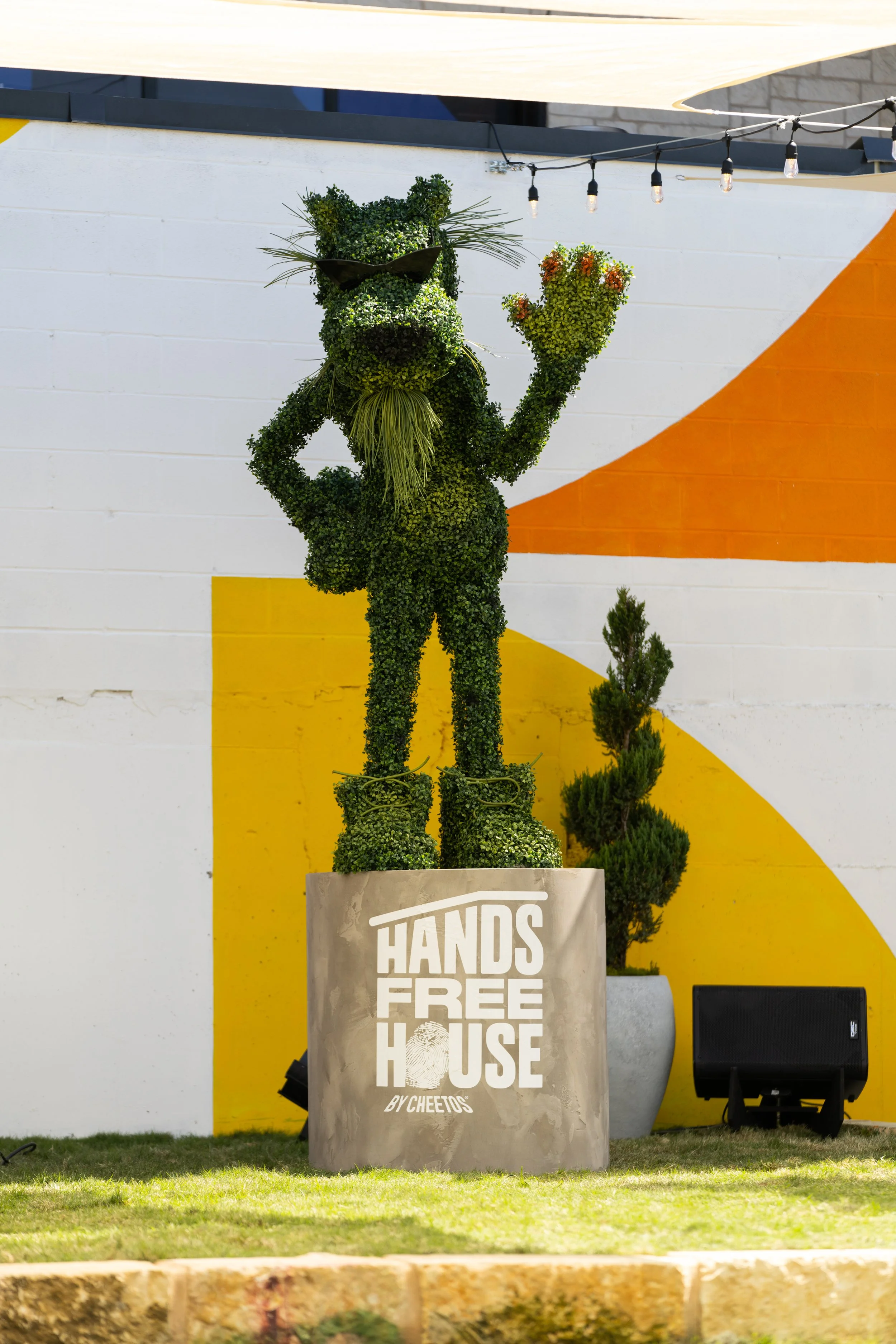 VT_Cheetos_0013 (1).jpg