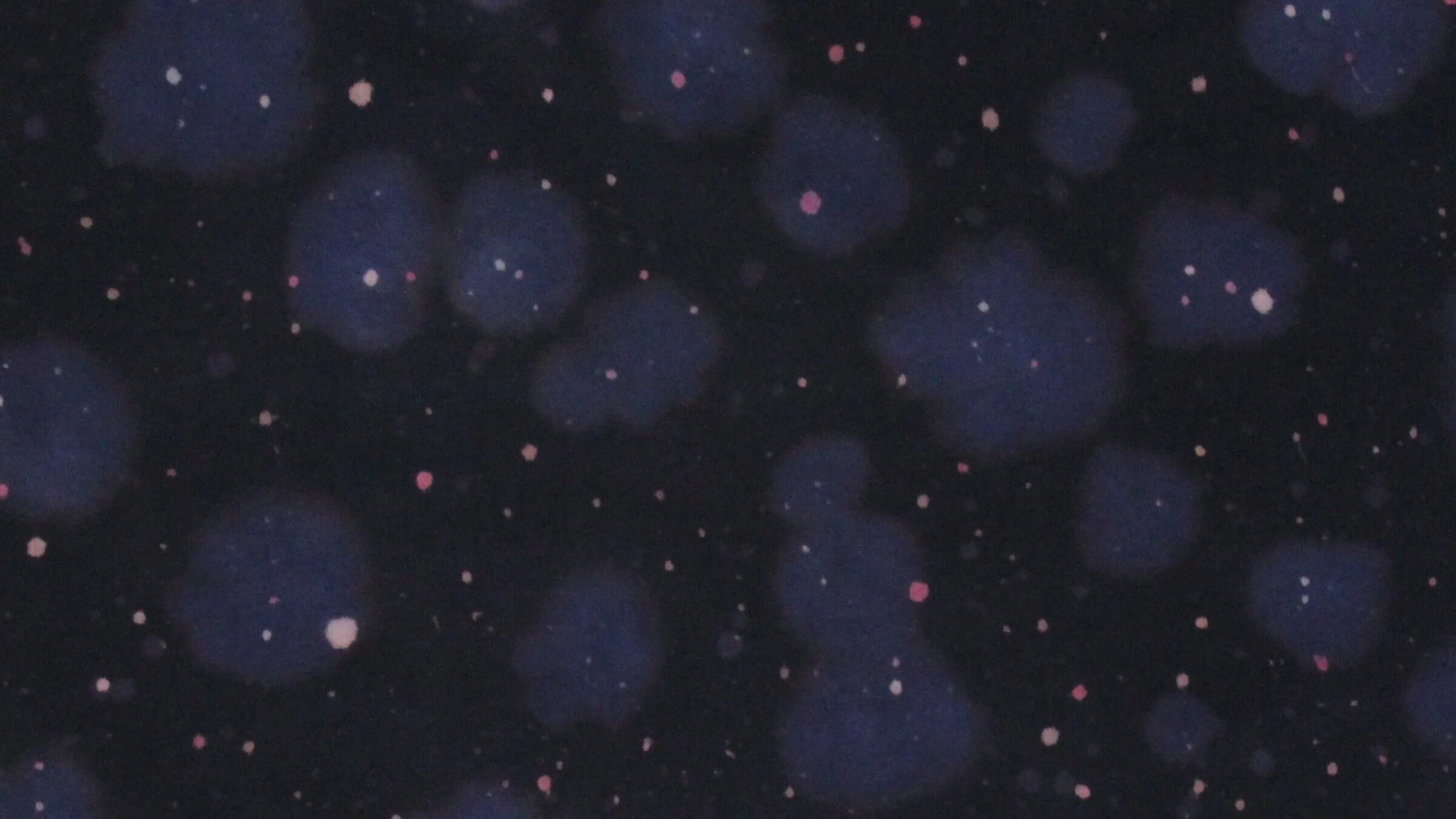 Exploding Blueberries and Falling Giants