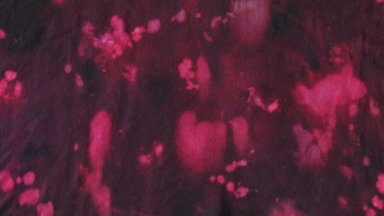 In the Depths of Quarantine Dyeing