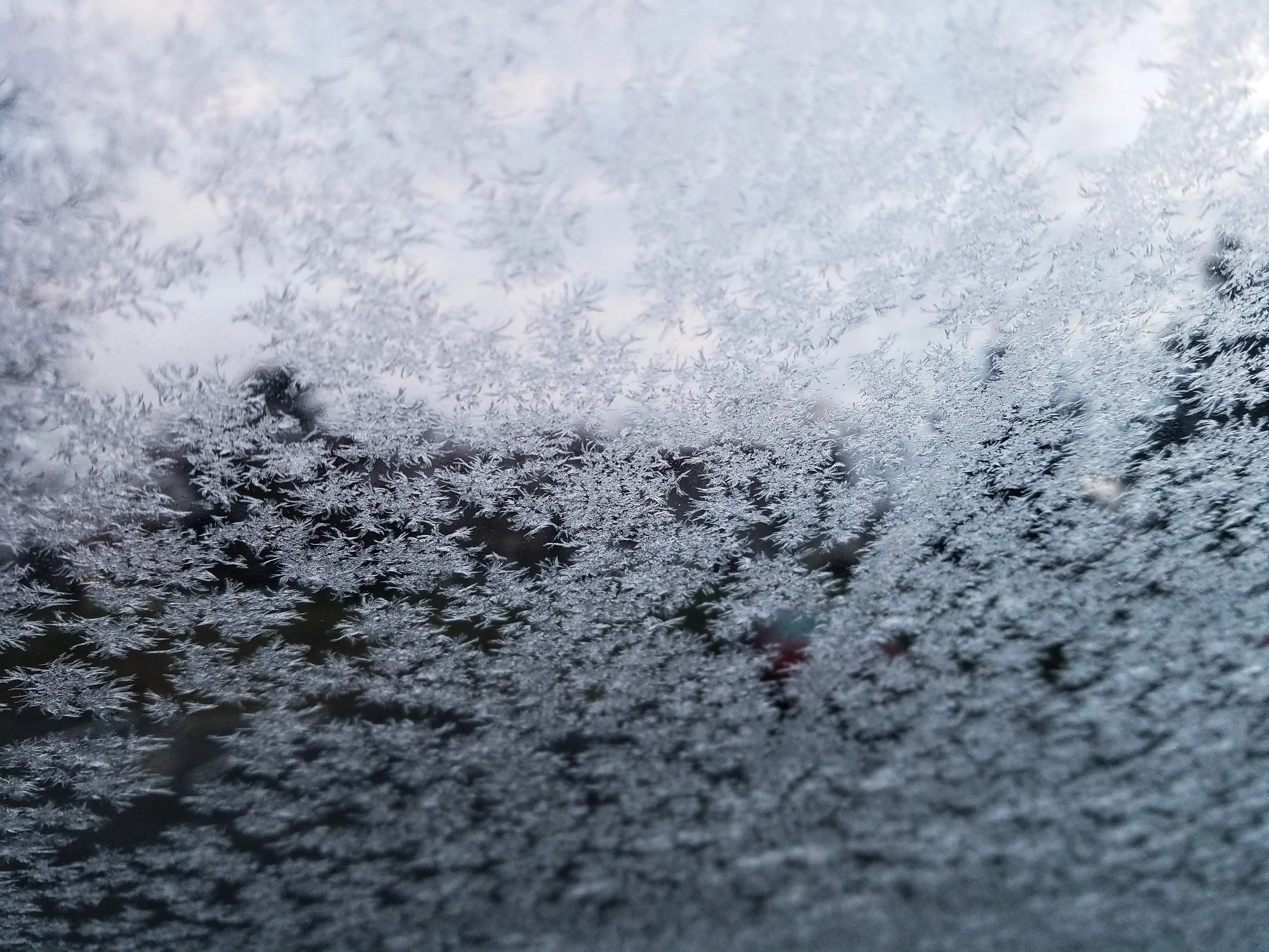 There is beauty even on the coldest days, remember to keep your eyes open to see it appear!
