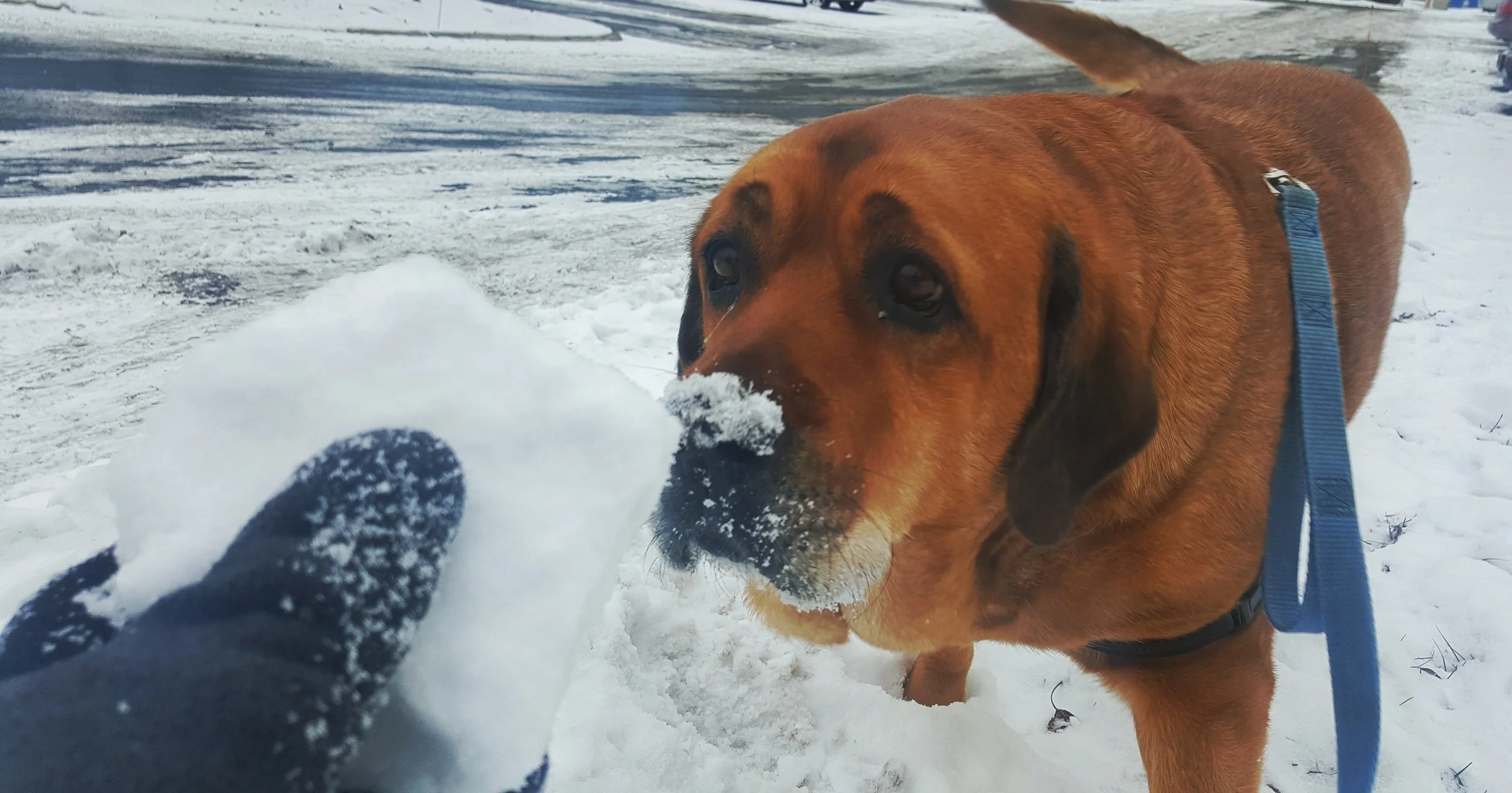 Take the opportunity to live a little, if you want to eat a chunk of snow, then go right ahead! Make your own opportunities!