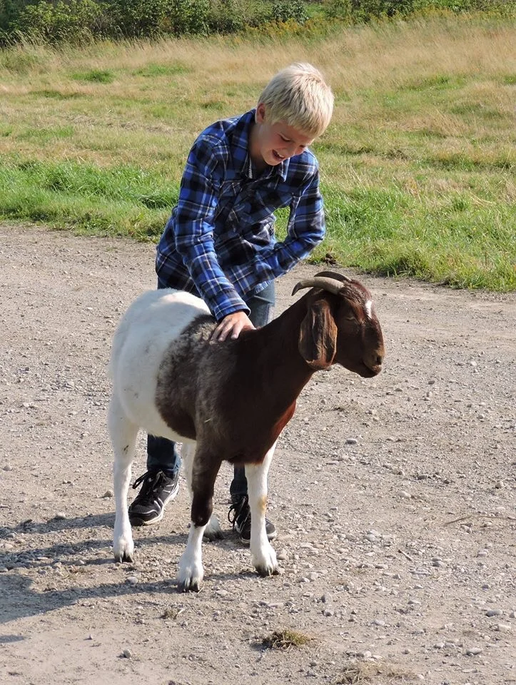 La fin des classes - Agrimom