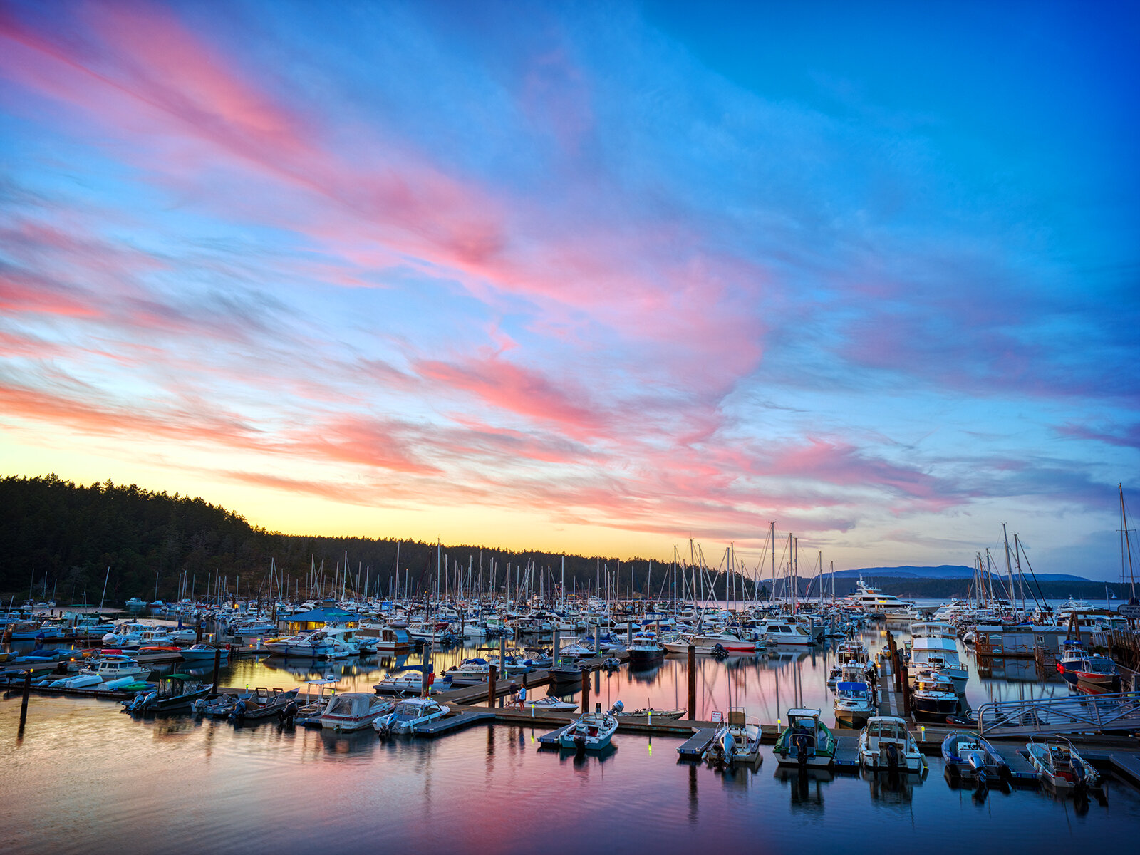 Friday Harbor - 7/6/21 - Hasselblad X1D II 50C
