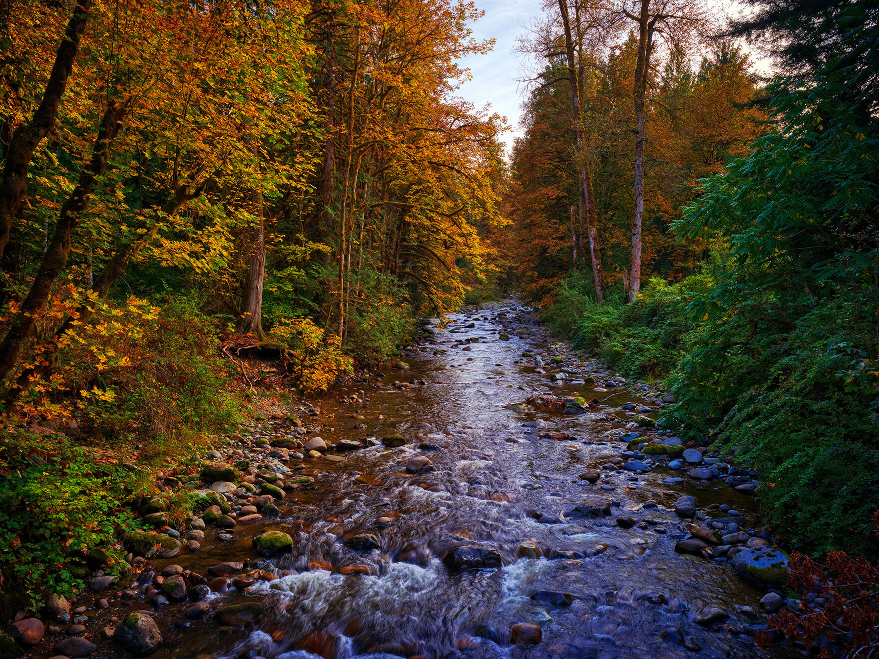 Autumn scene - 10/1/21 - Hasselblad X1D II 50C
