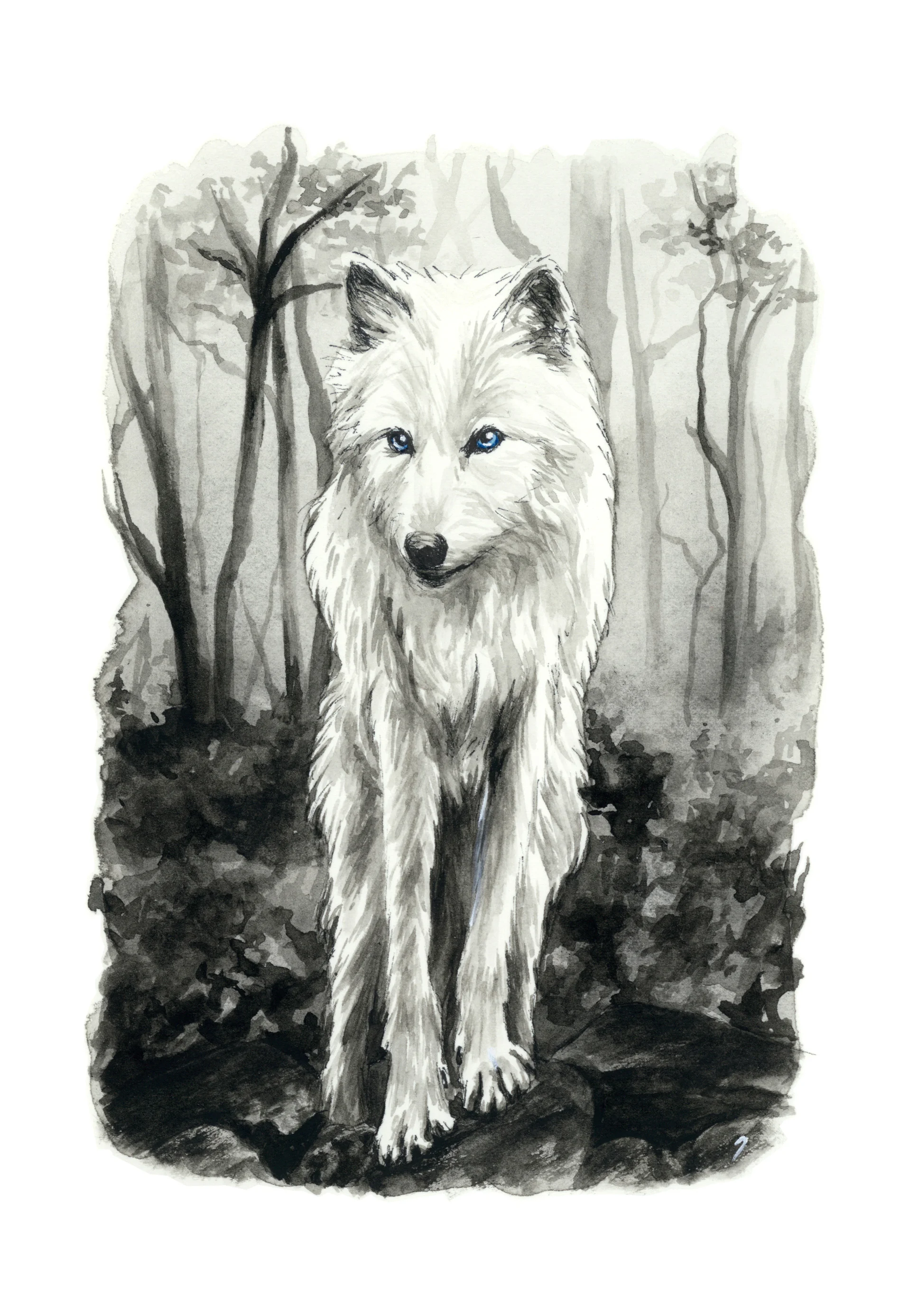 lobo.jpg