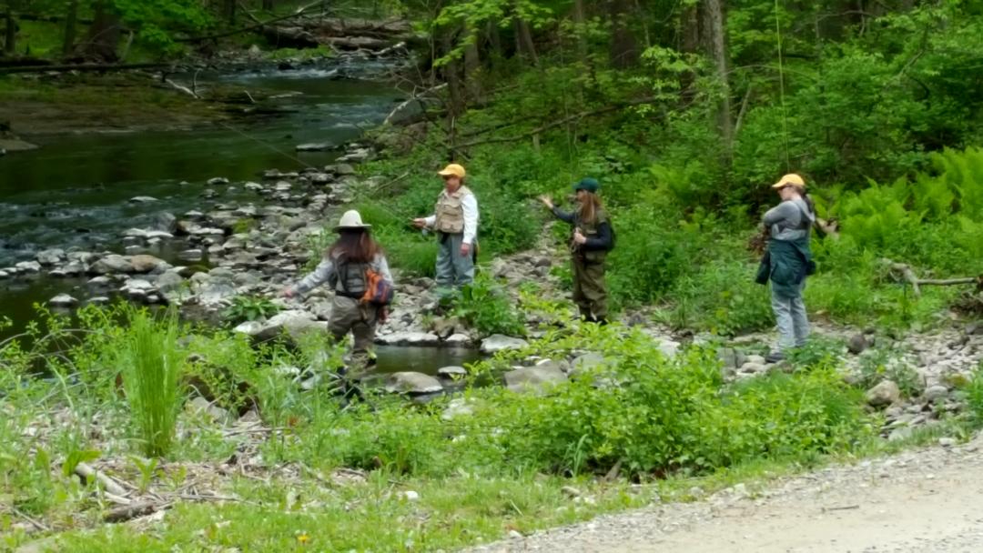 Wappinger's Creek at Orvis Sandanona