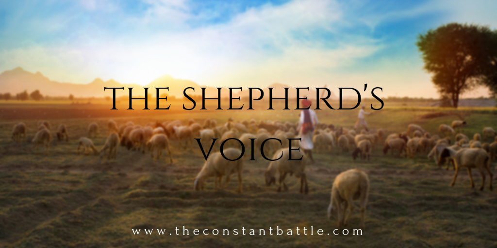 shepherd's voice.png