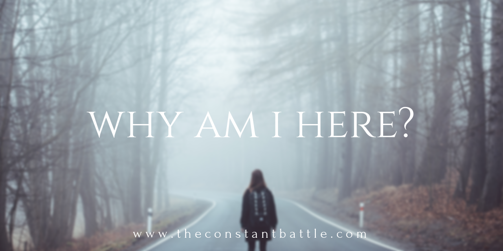 why am i here?.png
