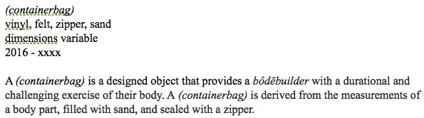 containerbag_explanation_website.jpg