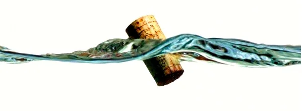 floating cork worked.jpg