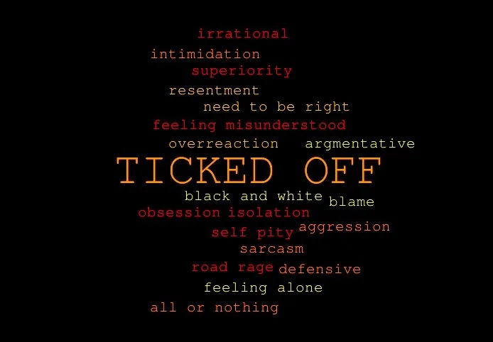 ticked off.jpg
