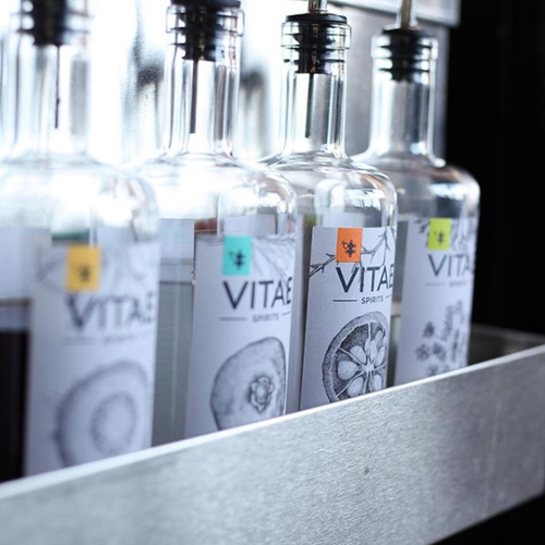 Vitae Spirits Distillery Brand & Identity — Anna Kovatcheva