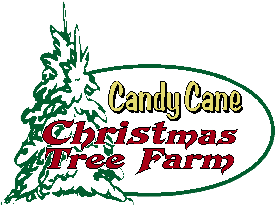 Coupon Candy Cane Christmas Tree Farm