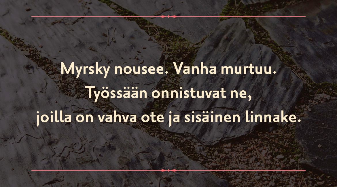 dv2.jpg