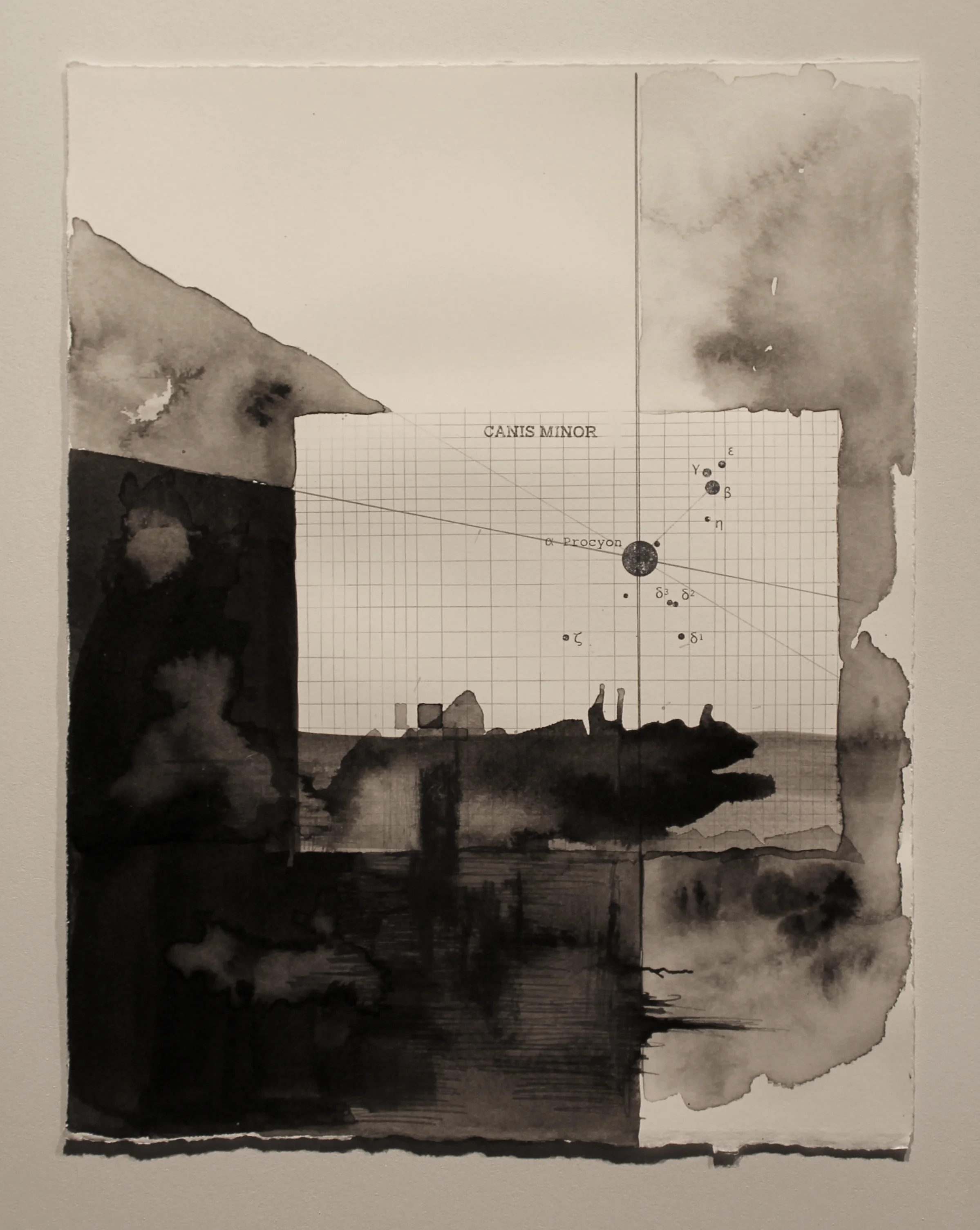 Canis Minor