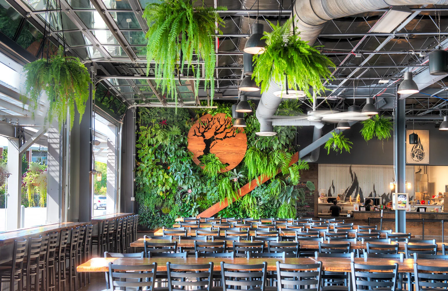 The Basics of Biophilic Design — Urban Blooms