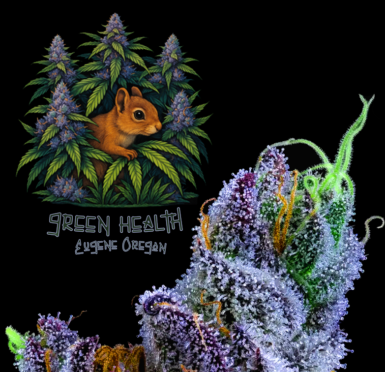 Illustration of a squirrel among cannabis plants and buds with the text "Green Health Eugene Oregon".