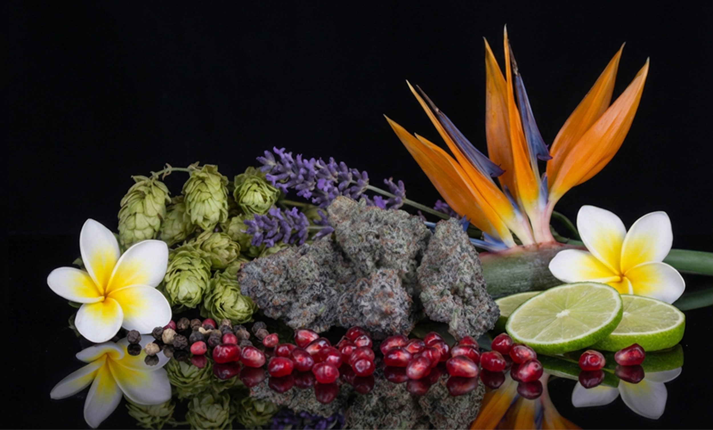 Arranged tropical and floral elements including orange and purple Bird of Paradise flowers, white and yellow plumeria flowers, green lime slices, pomegranate seeds, purple lavender sprigs, green hops, and gray volcanic rocks, against a black backgrou